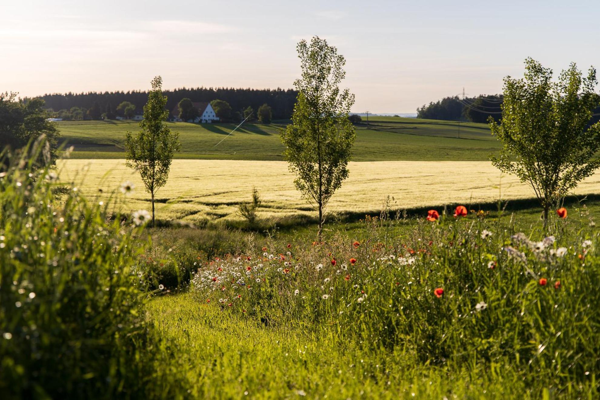 Hotel-Landgasthof Kreuz バート・ヴァルトゼー エクステリア 写真